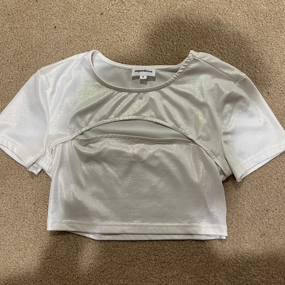 Iridescent snake skin crop top